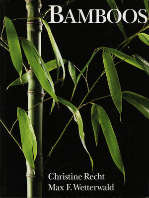 cover image of Bamboos